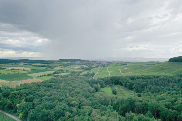 Donnbronner Höhe in Richtung Flein (eigene Aufnahme)