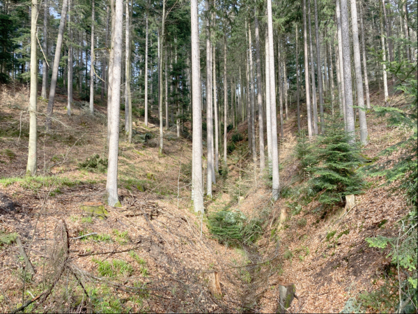 Klinge im Lustheimer Wald - Wüstenrot.