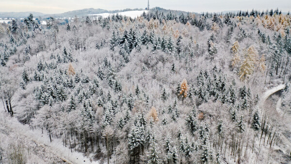 Blick Richtung Stocksberg Mitte Dezember (Aufnahme Julian Graf)