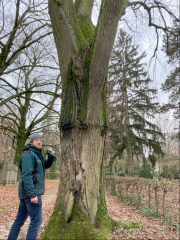 Tobias Häge (Aufnahme Kreisforstamt Heilbronn)