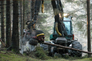 Vollernter bei der Aufarbeitung von Fichtenholz (Aufnahme FVA / H. Gössl)