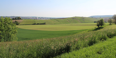 Landschaft mit grünen Feldern und Wiesen