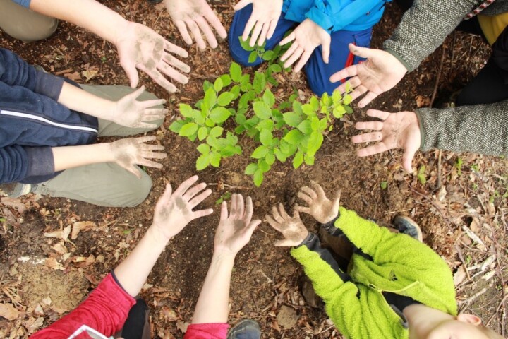 Kinder bilden mit ihren Händen einen Kreis rund um kleine, frisch gepflanzte Bäume.