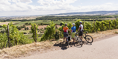 Drei Fahrradfahrer stehen mit ihren Fahrrädern in den Weinbergen und genießen die Aussicht.