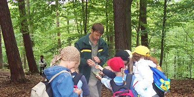 Kinder erkunden mit dem Förster den Wald.